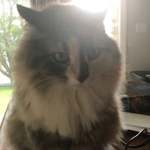 Meet your Posher, Krystle